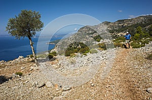 Hiking Lycian way. Man is trekking on dry stony path, high on mountain on Mediterranean coast, lonely olive tree