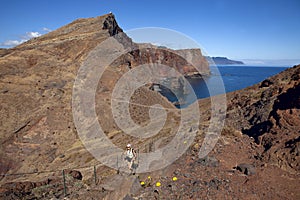 Hiking in Madeira