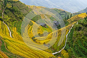 Longji Rice Terraces, Guangxi, China