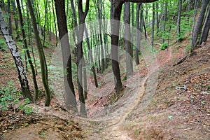 Hiking in Malopolska, Poland