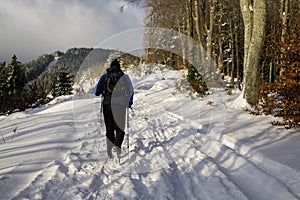 Turistický muž v lese pokrytý snehom počas zimy. Slovensko