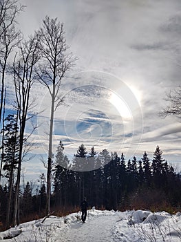 Hiking man in forest covered in snow during winter. Slovakia