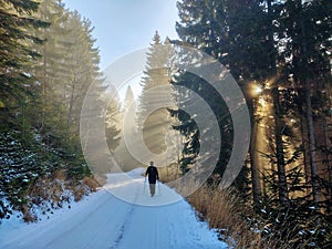 Hiking man in forest covered in snow during winter. Slovakia