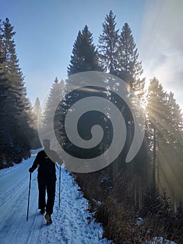 Hiking man in forest covered in snow during winter. Slovakia