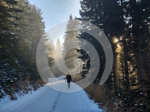 Hiking man in forest covered in snow during winter. Slovakia