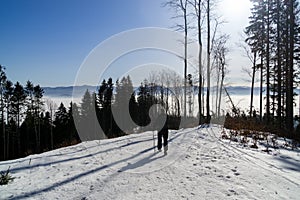 Turistický muž v lese pokrytý snehom počas zimy. Slovensko