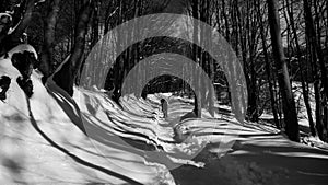 Hiking man in forest covered in snow during winter. Slovakia