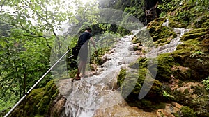 Hiking man trekking in rainforest jungle. view of young male hiker walking on trek through dense rain forest nature in