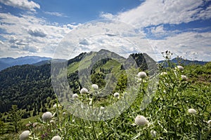 Hiking in the Mangfall range in Bavaria, Germany