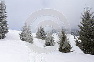 Hiking marking pole with indications