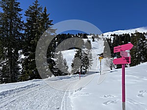 Hiking markings and orientation signs with signposts for navigating in the idyllic winter ambience of the Swiss Alps