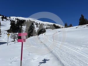 Hiking markings and orientation signs with signposts for navigating in the idyllic winter ambience of the Swiss Alps