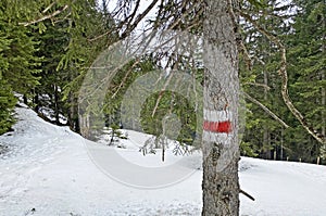 Hiking markings and orientation signs with signposts for navigating in the Wagital valley Waegital or WÃ¤gital and alpine Lake