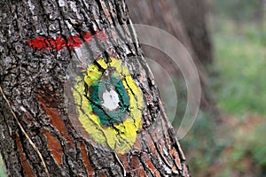 Hiking marks on wood