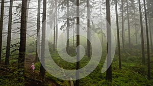 Hiking in misty morning at spring forest. Child at footpath in woodland.