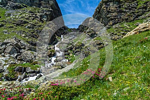 Hiking in the Monviso valleys between streams, waterfalls and flowery pastures