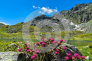 Hiking in the Monviso valleys between streams, waterfalls and flowery pastures