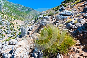 Hiking in Morocco`s Rif Mountains under Chefchaouen city, Morocco, Africa