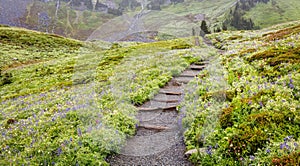 Hiking Mount Rainier in the Fog