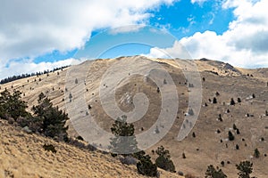 Hiking Mount Taylor a Stratovolcano in Grants New Mexico Cibola National Forest photo