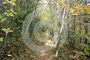 Hiking mountain trail, Giuguno, italy