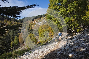 Hiking on mountains steep slope among trees in sunny day, Man is trekking Lycian Way, Trail from Alakilise Ruins to Finike