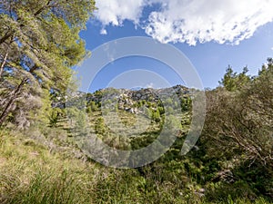 Hiking in mountrains of Alcudia, Mallorca, or Majorca, Balearic Islands, Spain