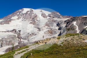 Hiking Muir Snowfield