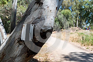 Hiking at Nahal Sorek