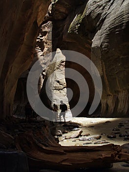 Hiking the Narrows in Zion National Park photo