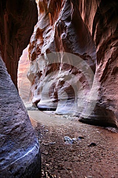 Hiking through the Narrows in Zion National Park