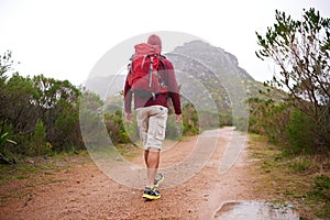 Hiking, nature and man back with backpack, travel and adventure outdoor on mountain path with plants. Journey, fitness