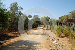 Hiking in a nature reserve of WWF