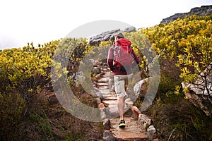 Hiking, nature trail and man back with backpack, travel and adventure on mountain path with plants. Journey, fitness and