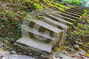 Hiking nature trail stairs tropical jungle forest Lamru Nationalpark Thailand