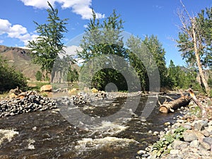 Hiking near a beautiful scenic Kamloops stream