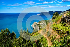 Hiking near Corniglia, Cinque Terre photo