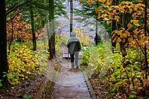 Hiking in the north woods on a rainy autumn day