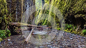 Hiking Oneonta Gorge