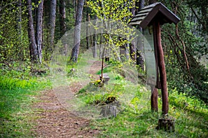 Hiking path