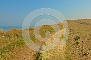 Hiking path along a field on the cliffs on the French Northe sea coast,