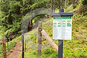 Hiking path in alpine forest with sign explaining the behaviour with grazing animals in Salzburgerland, Austria