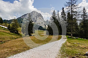 hiking path through amazing nature reserve named wurzeralm