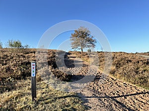 Hiking path at the Archemerberg