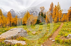 Hiking Path In Autumn Mountains