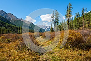 Hiking path through autumn mountains. Trekking mountain trail. Atmospheric golden alpine landscape with yellow grass footpath in