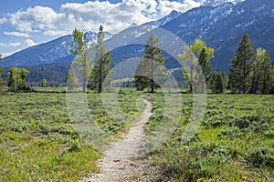 Hiking path below the Grand Teton mountains in Wyoming on a sunny day