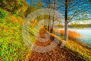 Hiking path in fall nature near lake, Europe