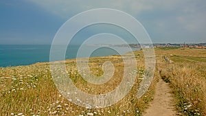Hiking path in a filed on the ciffs on the French Northe sea coast photo