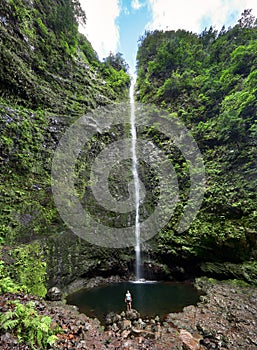 Hiking path with forest in Levada do Caldeirao Verde waterfall Trail landscape- tropical scenery on Madeira island, Santana,